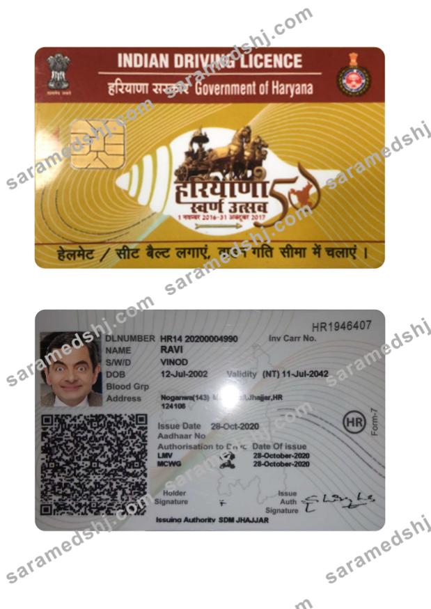 India Haryana state driving license